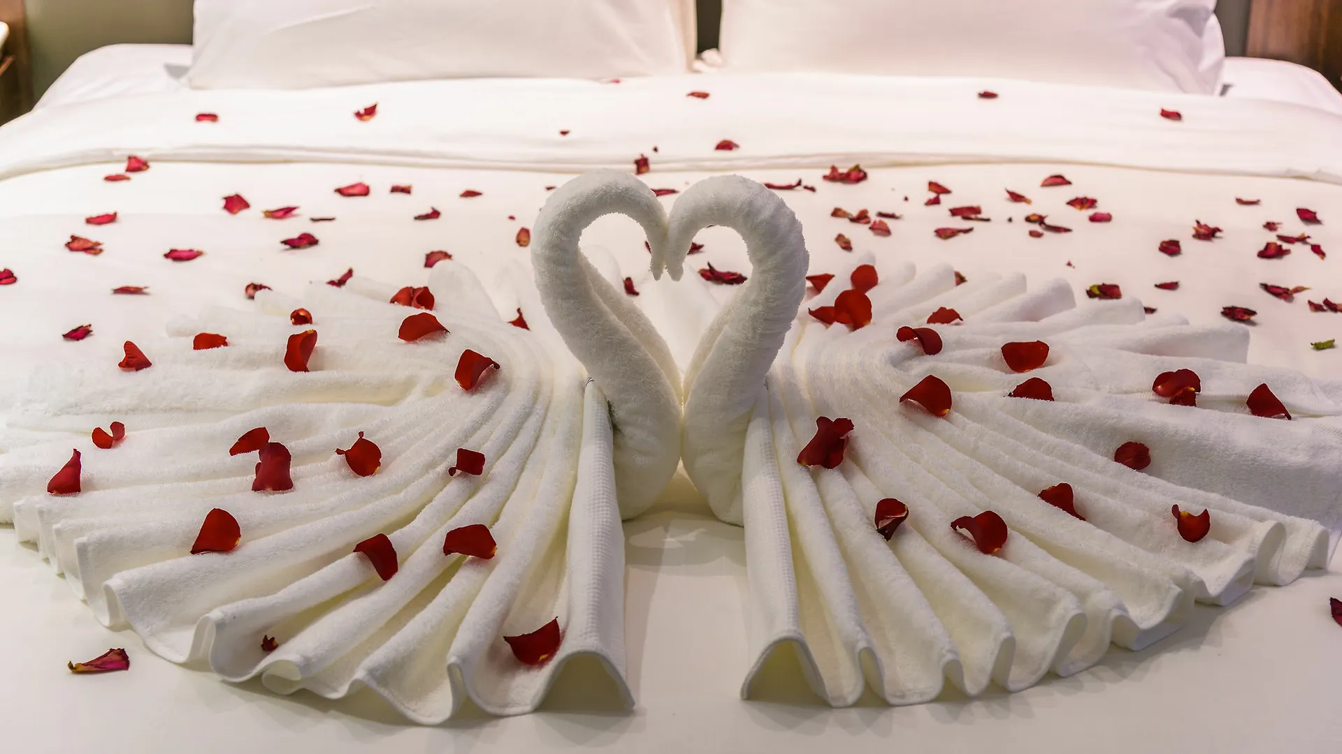 Aguila Hotel Jeju Oceano Suite